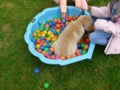 Bild 16